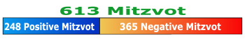 613 Mitzvot - Positive & Negative