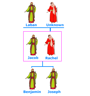 Rachel's Family Tree