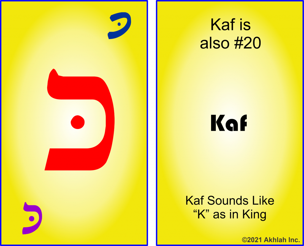 Kaf Flashcard