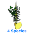 4 species