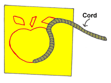 Cord