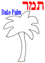 Date Palm Example