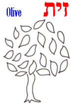 Olive Tree Example
