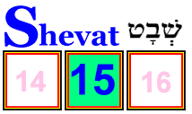 Shevat 15th